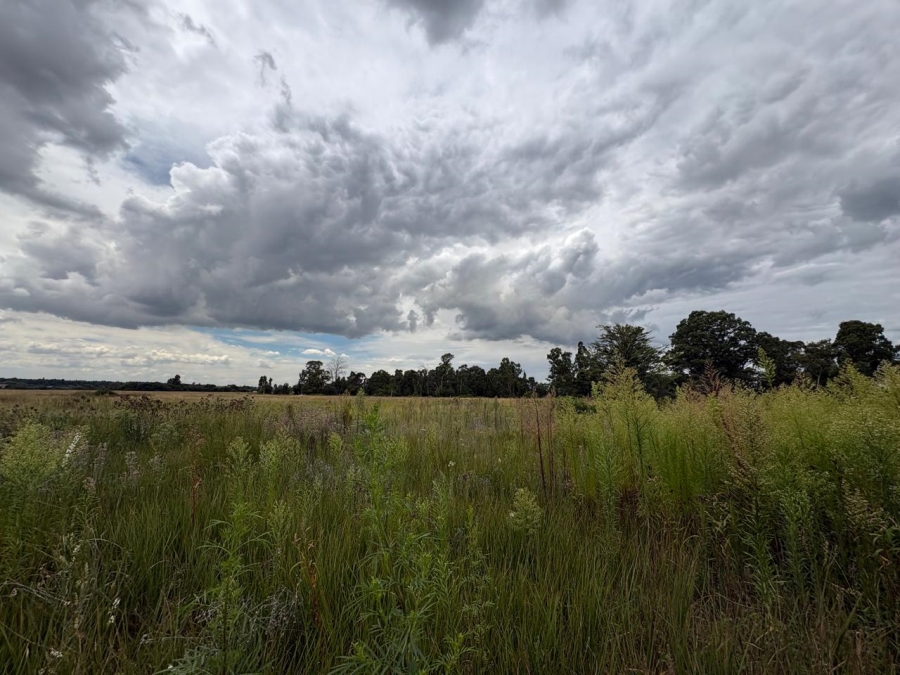 0 Bedroom Property for Sale in Vaalpark Free State